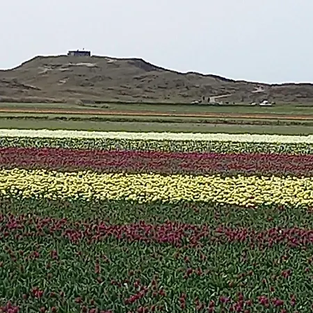 En Het Spookhuis Frühstückspension Den Hoorn (North Holland)