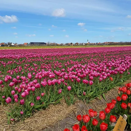 En Het Spookhuis 4* Den Hoorn (North Holland)