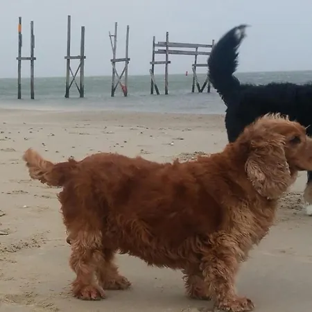Frühstückspension En Het Spookhuis Den Hoorn (North Holland)