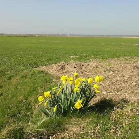 En Het Spookhuis Frühstückspension