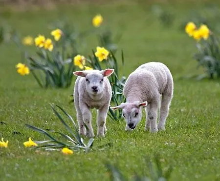 Frühstückspension En Het Spookhuis Den Hoorn (North Holland)
