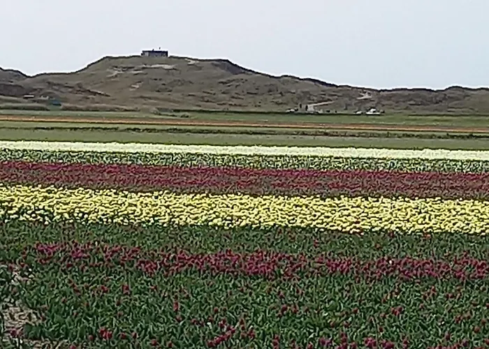 En Het Spookhuis Oda ve Kahvaltı Den Hoorn (North Holland)