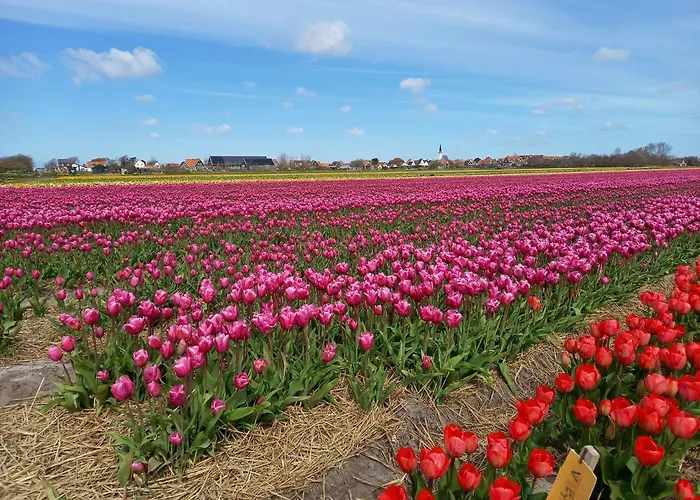 En Het Spookhuis 4* Den Hoorn (North Holland)