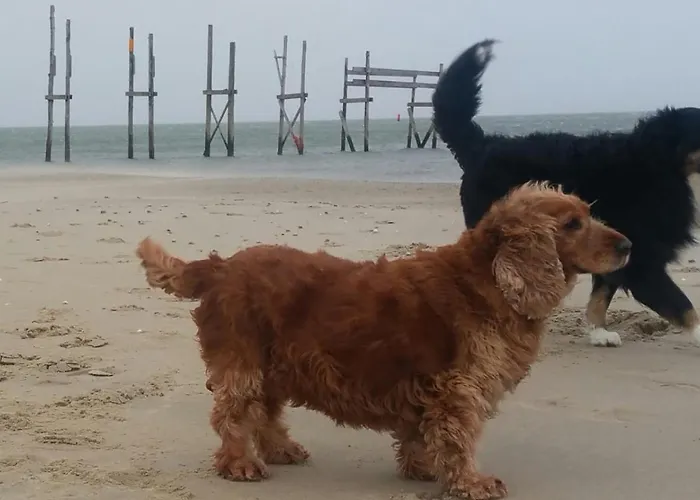 Oda ve Kahvaltı En Het Spookhuis Den Hoorn (North Holland)