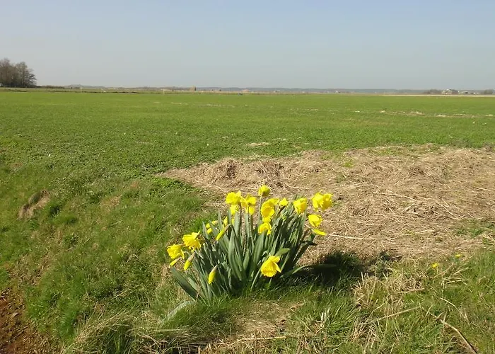 En Het Spookhuis Oda ve Kahvaltı