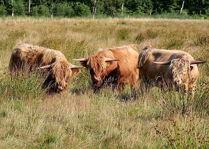 En Het Spookhuis Bed & Breakfast 4*