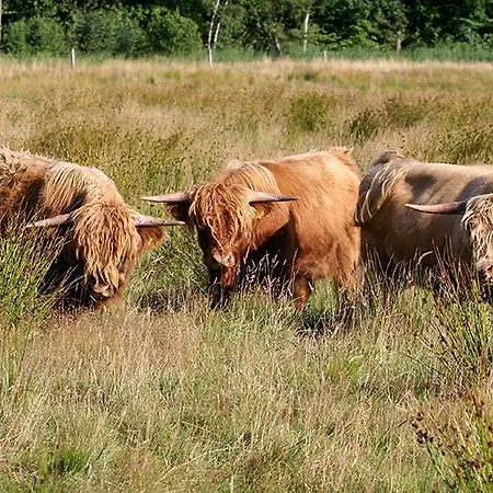 En Het Spookhuis فندق مبيت وإفطار 4*